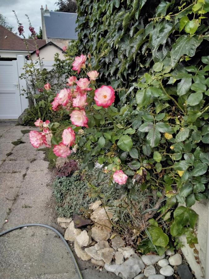 Hortensias Анел Екстериор снимка